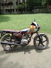 Dayun Roebuck